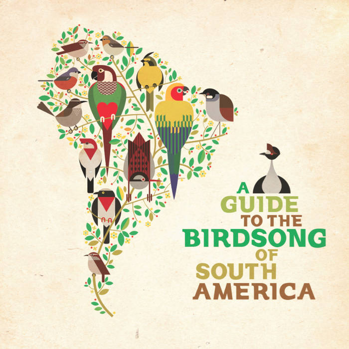 A Guide to Birdsong Remix